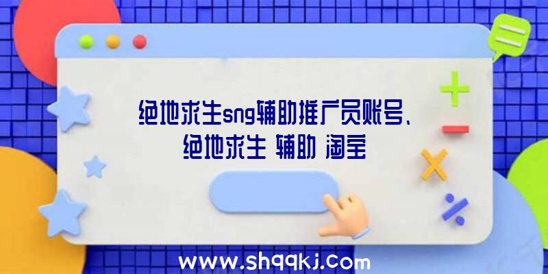 绝地求生sng辅助推广员账号、绝地求生